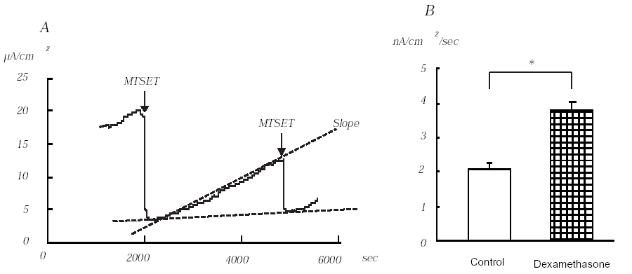 Graphs