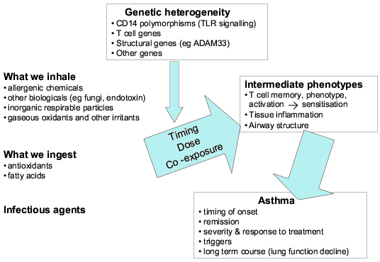 Gene-environment Interaction