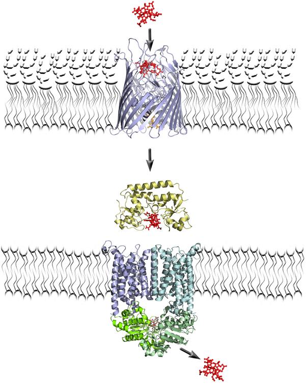 Figure 7