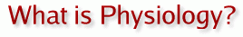 What is Physiology?